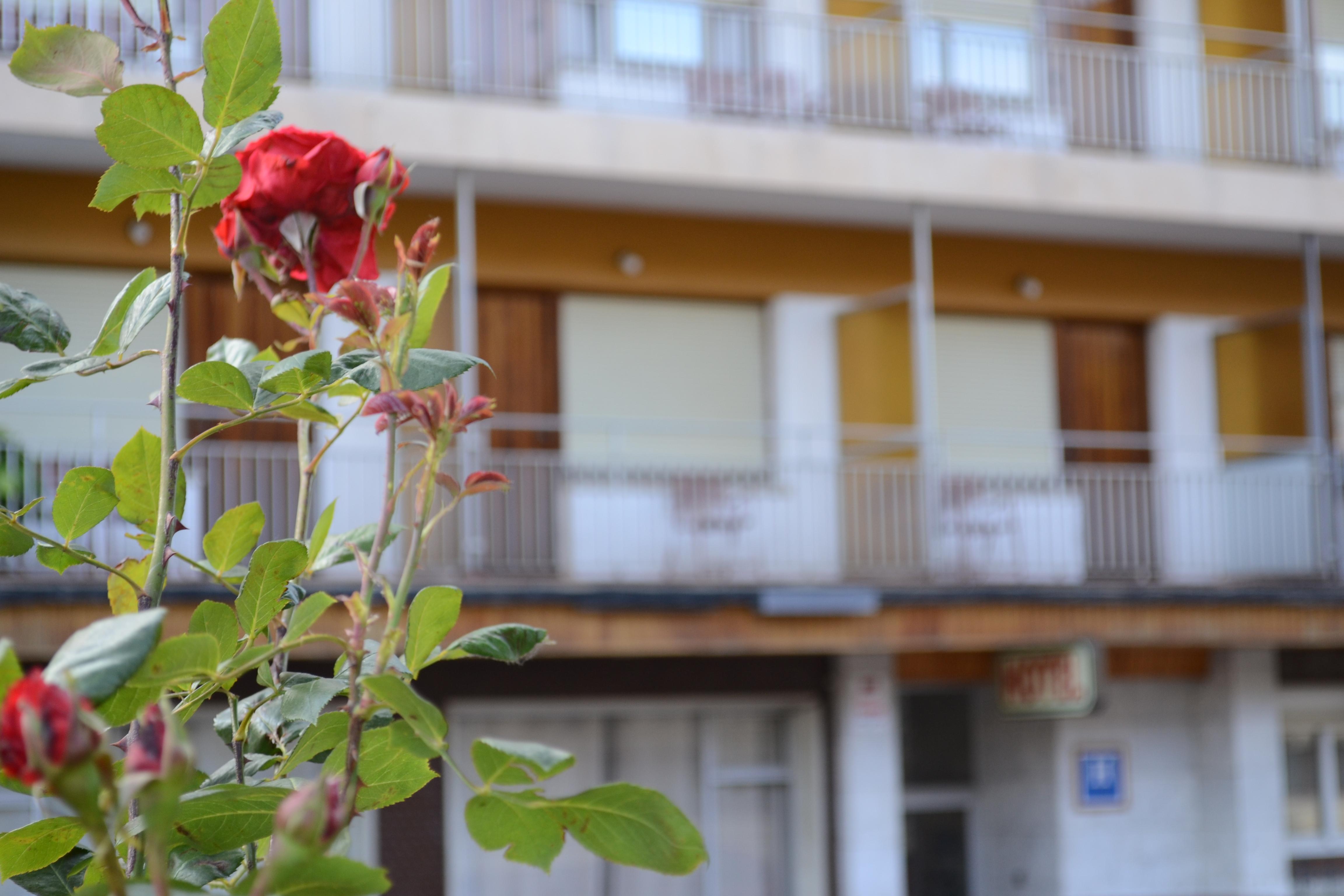 Hotel Mi Casa Sabiñánigo エクステリア 写真